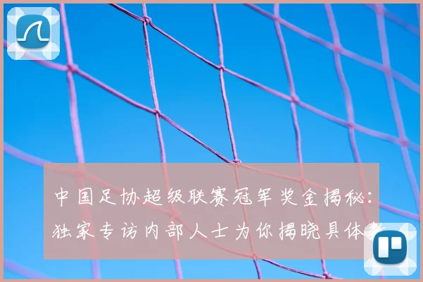 中国足协超级联赛冠军奖金揭秘：独家专访内部人士为你揭晓具体数额