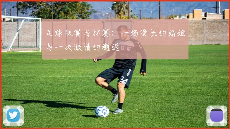足球联赛与杯赛:一场漫长的婚姻与一次激情的邂逅