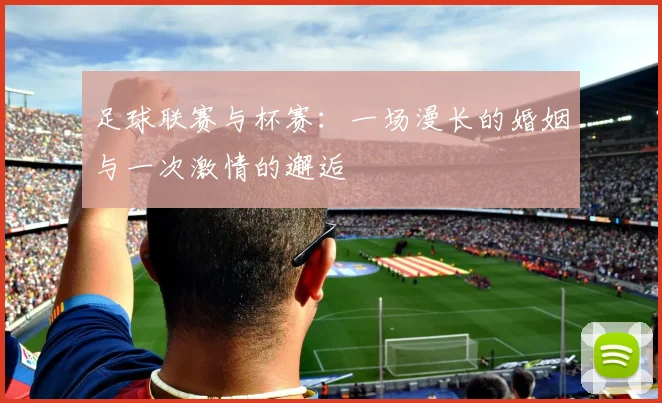 足球联赛与杯赛：一场漫长的婚姻与一次激情的邂逅
