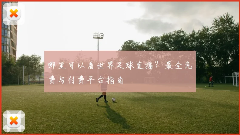 哪里可以看世界足球直播？最全免费与付费平台指南